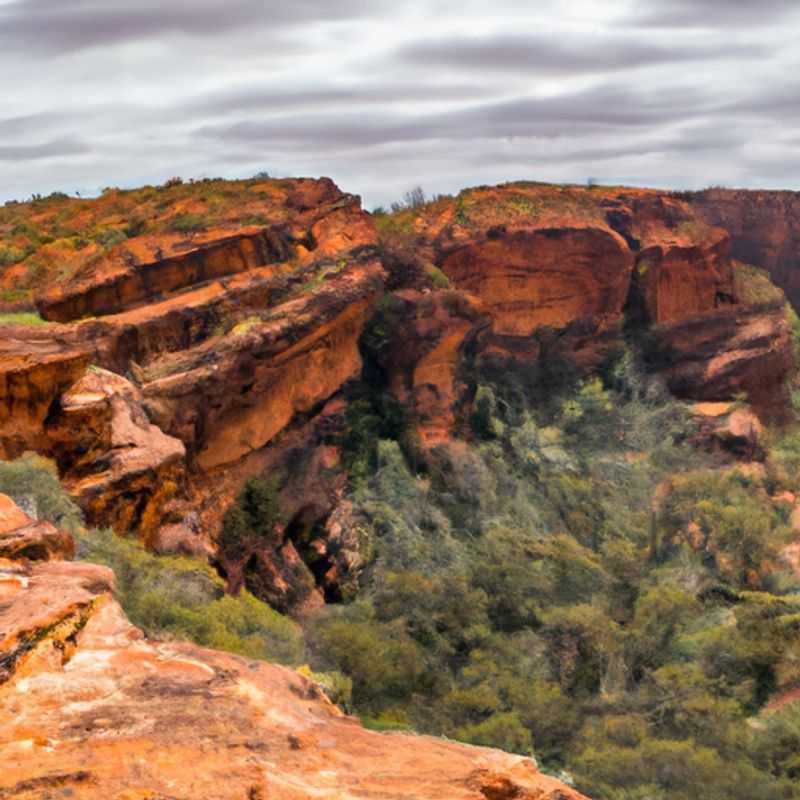 Camping aux étoiles dans le désert de l'Outback pendant la promenade sur la jante de Kings Canyon, en Australie, entre l'hiver et le printemps