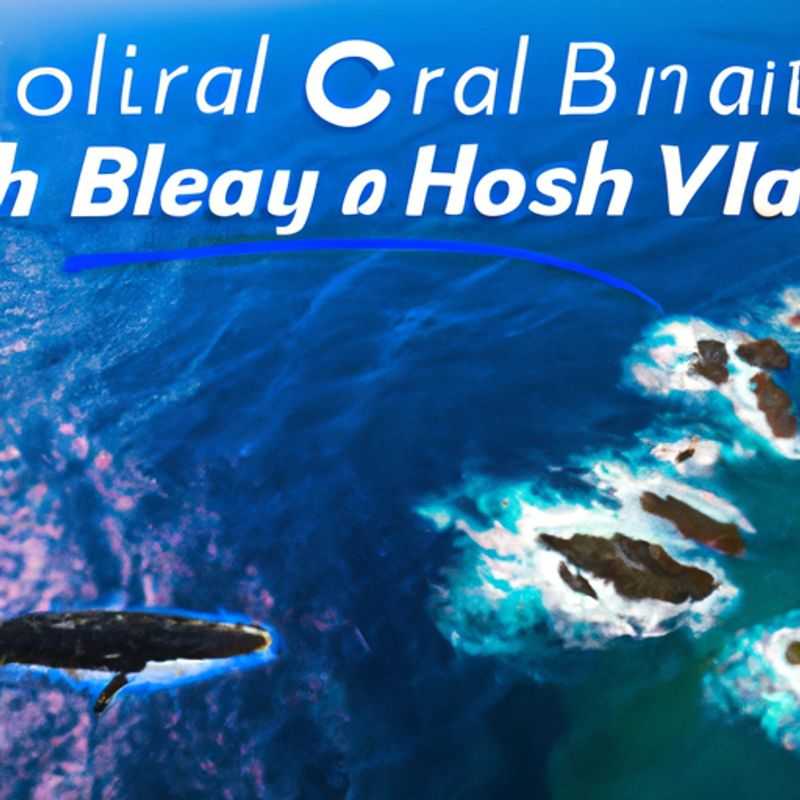 Visite estivale du phare du cap Byron à Byron Bay&#44; en Australie