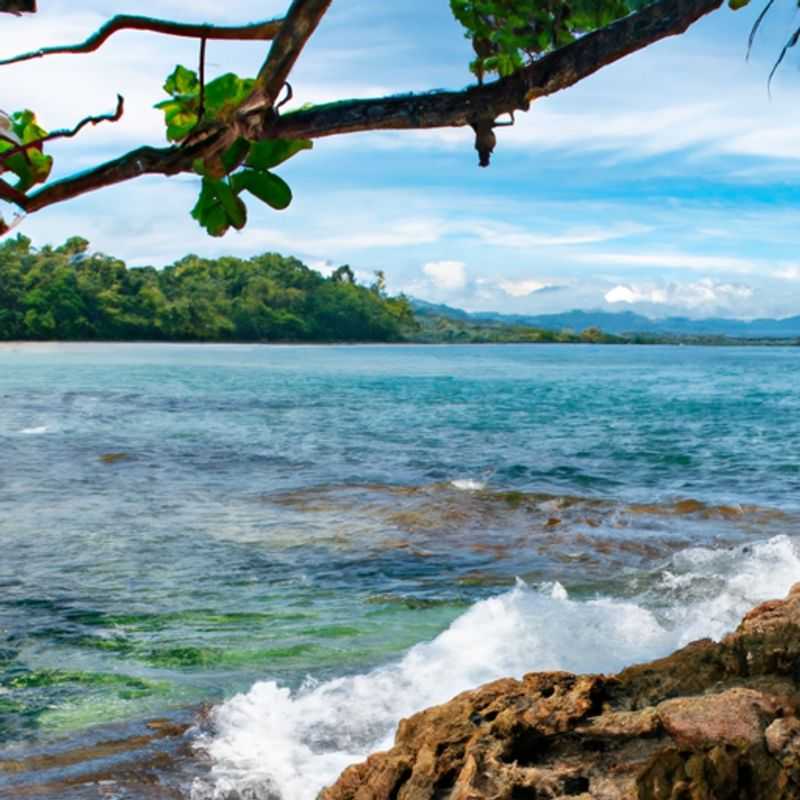 Plage de Punta Uva : Un paradis hivernal à Puerto Viejo, Costa Rica