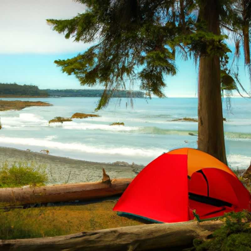 Explora las maravillas invernales de Mystic Beach en el sendero Juan de Fuca