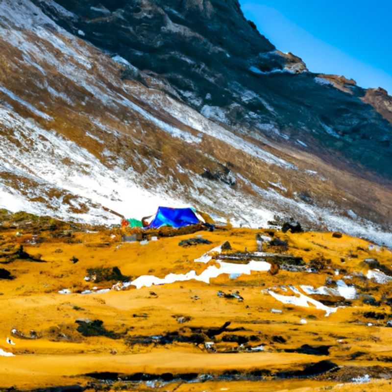 Four intrepid adventurers embarking on the Snowman Trek, a challenging yet rewarding 3-day journey through the stunning Himalayan landscapes of Bhutan, where snow-capped peaks and pristine wilderness await exploration.