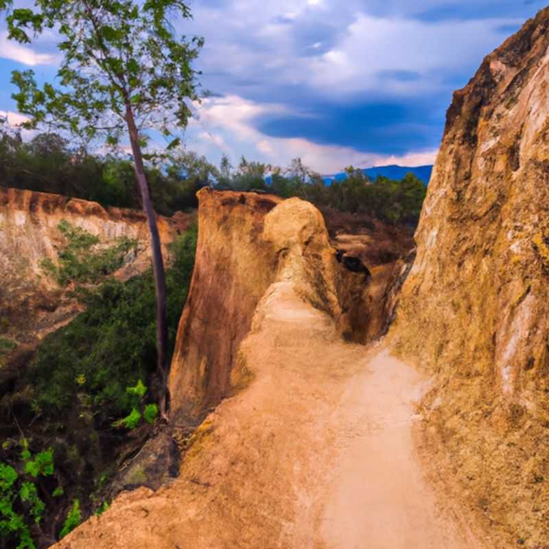 Six intrepid travelers marvel at the breathtaking beauty of Pai, Thailand, its rolling hills and vibrant foliage ablaze with autumn colors, during their unforgettable 4-day fall adventure.