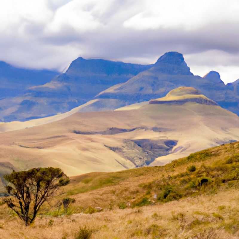 Un grupo de seis personas disfruta de las imponentes vistas de las montañas Drakensberg en Sudáfrica, un destino de senderismo de renombre mundial, durante su escapada de 3 días en verano.