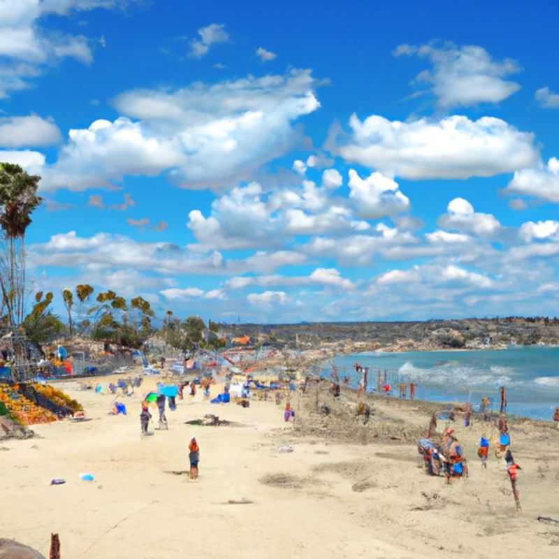 Torrey Pines State Natural Reserve: A Springtime Oasis in San Diego