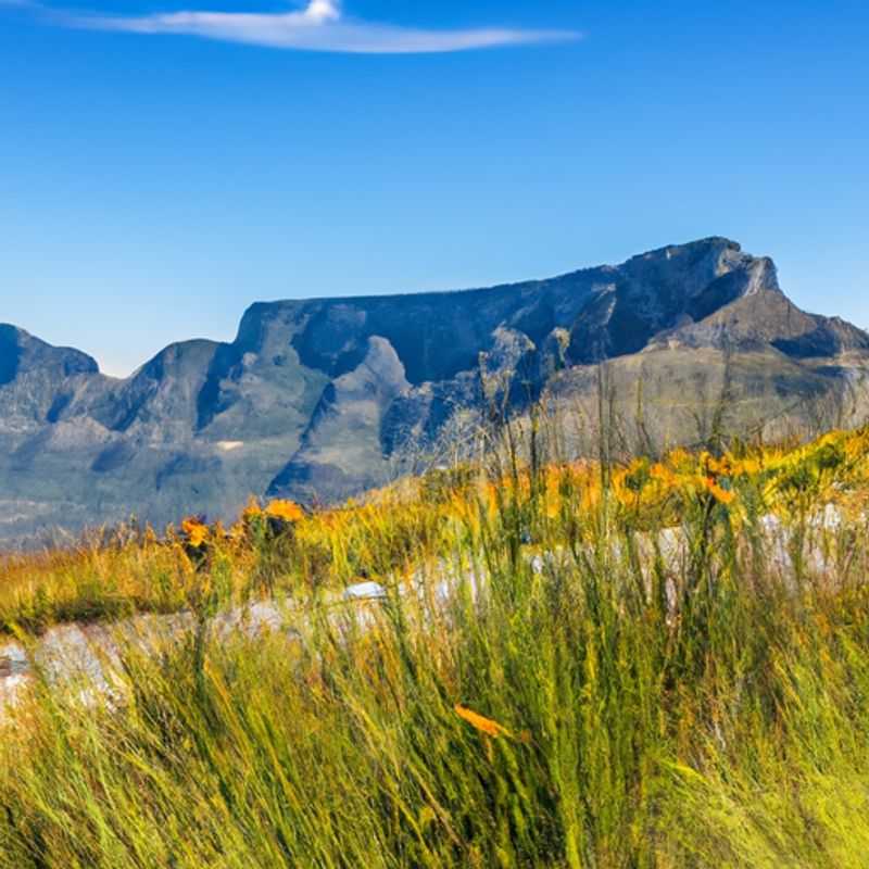 Four intrepid travelers embarking on an unforgettable 2-week winter adventure in Cape Town, South Africa, marveling at the iconic Table Mountain against the vibrant cityscape.