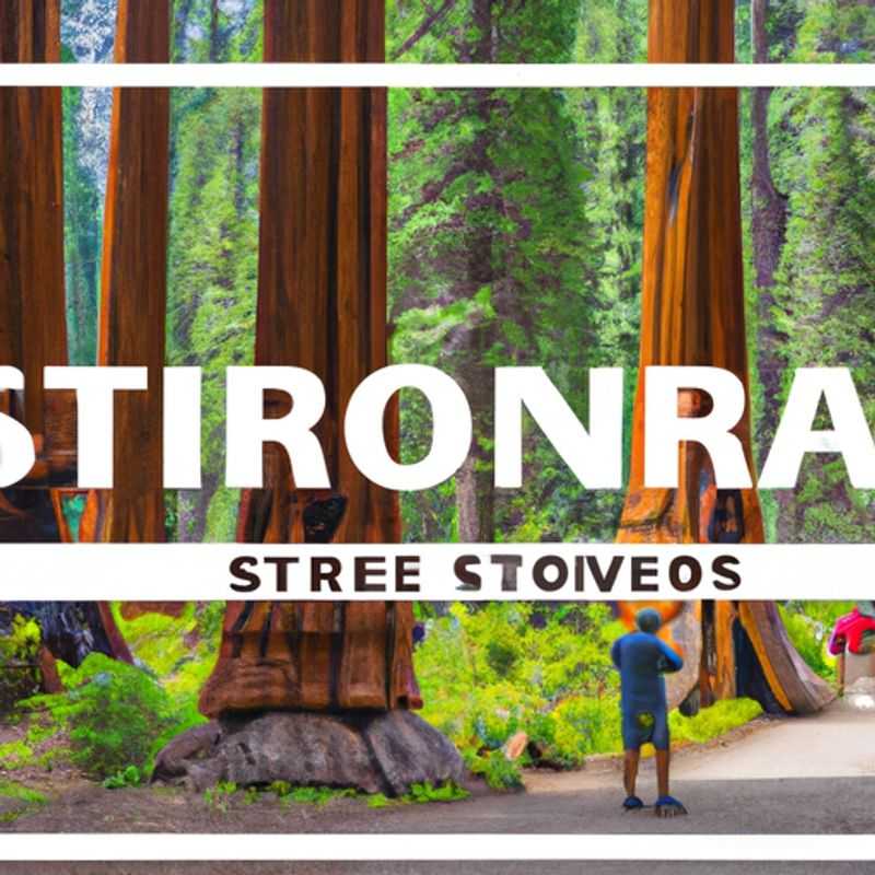 ¡Prepárate para conquistar el imponente Parque Nacional de Yosemite en un verano inolvidable!