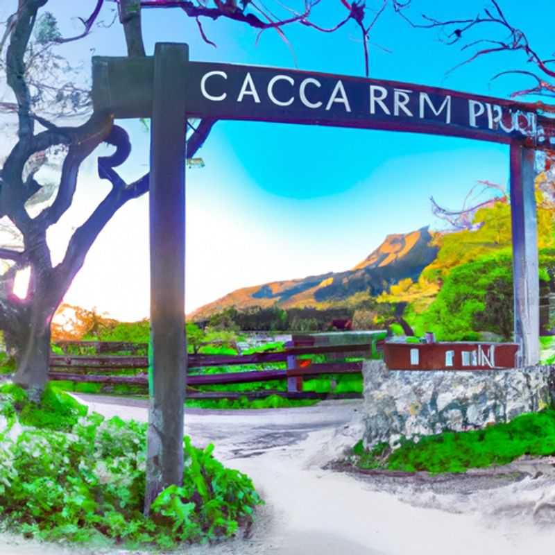 Une randonnée hivernale au parc d'État de Pfeiffer Big Sur
