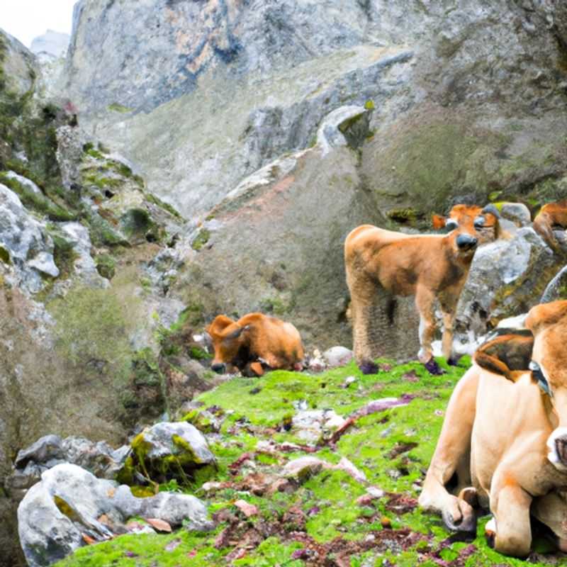 My, How Culture and Nature Collide in Cangas de Onís, Spain: A Fall Foliage Adventure on El Camino del Cares