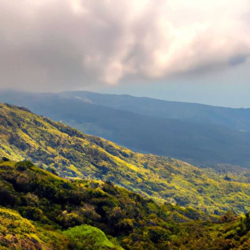 Unveiling the Enchanting Secrets of Monteverde Cloud Forest Reserve: A Winter Sojourn into the Heart of Nature's Tapestry