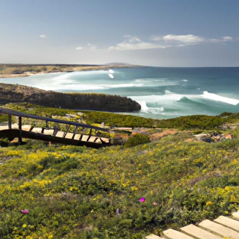 Six intrepid travelers embarking on a 5-day winter adventure along the breathtaking Rota Vicentina in Portugal, surrounded by the rugged beauty of the Atlantic coast and lush greenery.