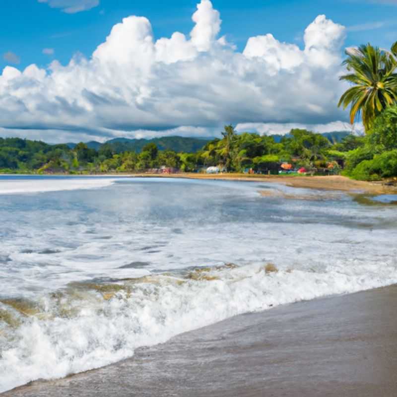 Visite des fermes de cacao à Puerto Viejo, Costa Rica, en hiver