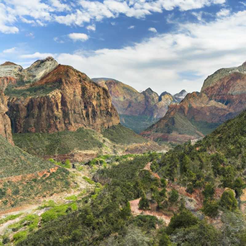 Observation astronomique printanière à Zion : une échappée nocturne sous les étoiles