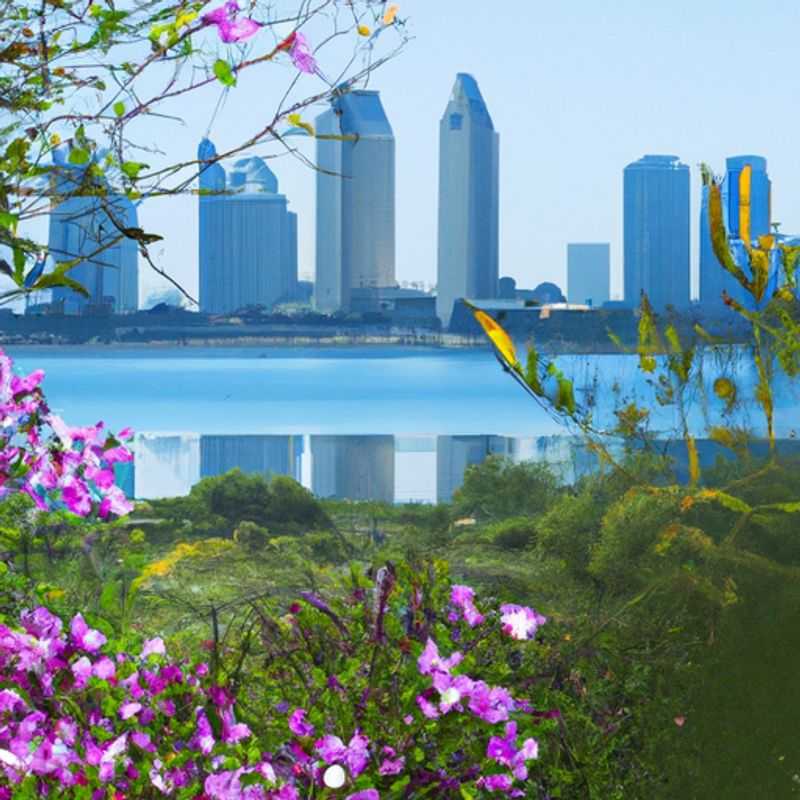 Four digital nomads embracing the vibrant spirit of San Diego, California, USA, on their 3-week spring sojourn, finding inspiration in the city's bustling tech scene and charming coastal ambiance.