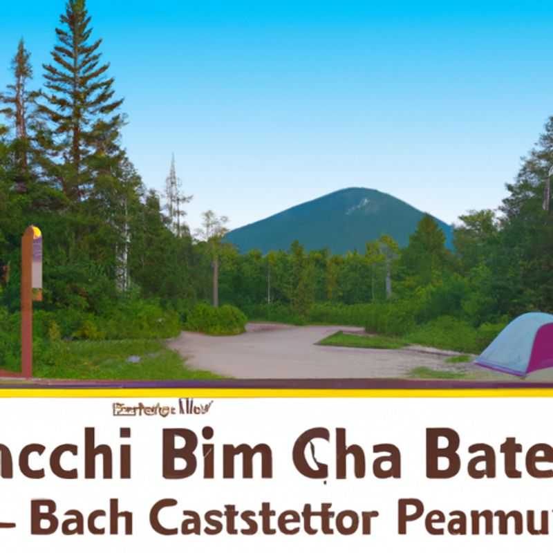 Observación de aves en el Bosque Nacional de Pisgah: un verano y otoño inolvidables en los Apalaches