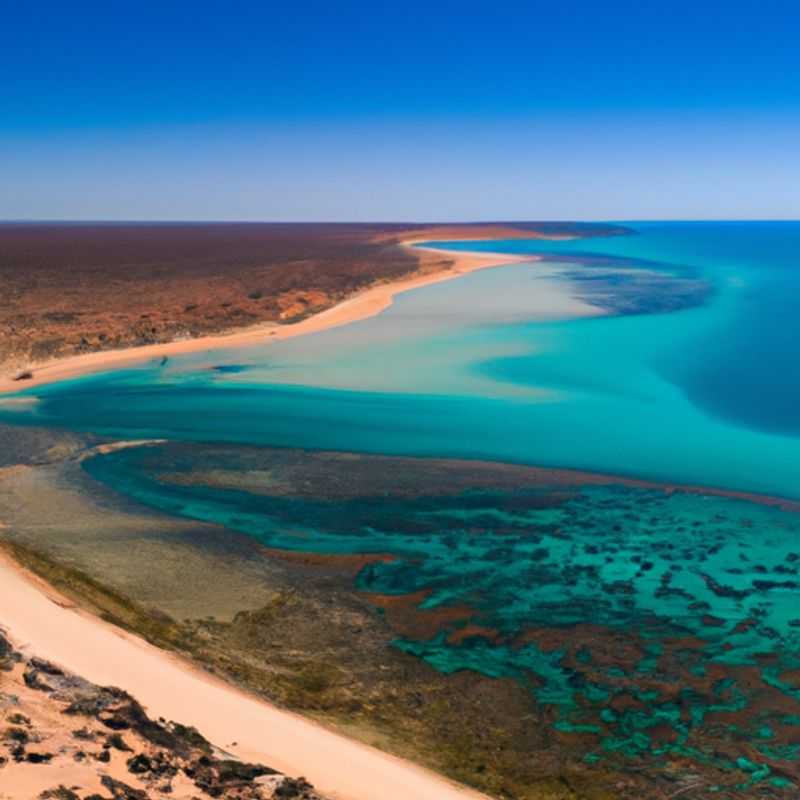 Une escapade printanière sur l'île de Rottnest : guide pratique pour un road trip inoubliable en Australie-Occidentale