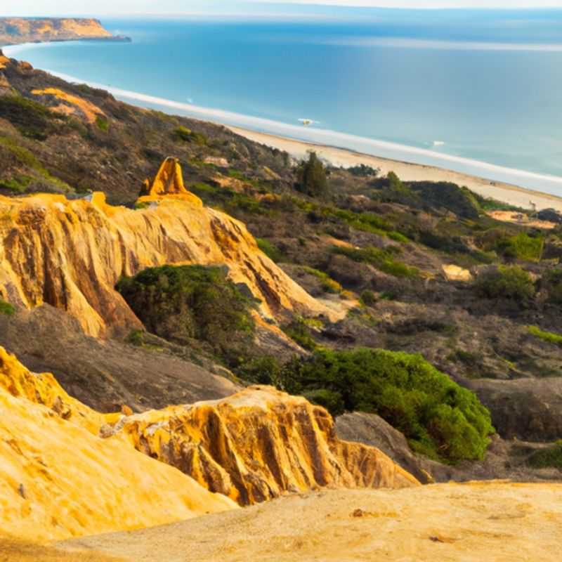La Jolla Cove: Your Haven for Springtime Bliss in San Diego