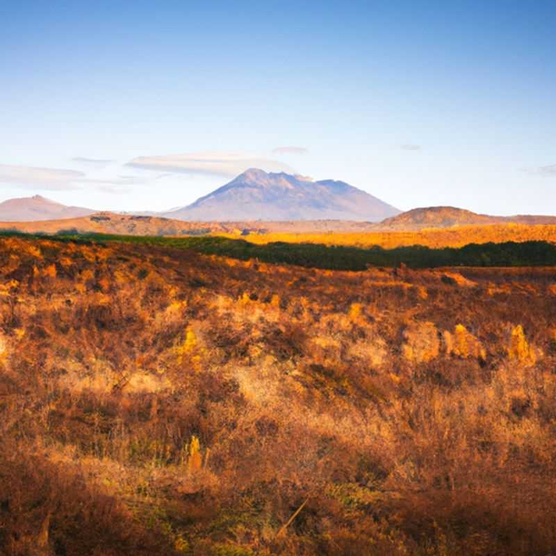 Un viajero solitario se embarca en una aventura de 4 días por el Circuito Norte de Tongariro, Nueva Zelanda, durante el otoño, rodeado de impresionantes paisajes volcánicos y belleza natural prístina.