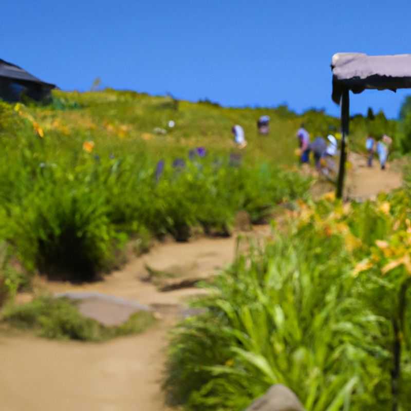 Cuatro excursionistas recorren el pintoresco sendero de los Apalaches, un ícono del senderismo en Estados Unidos, durante su aventura de 5 días en verano, rodeados de la exuberante belleza de las montañas.