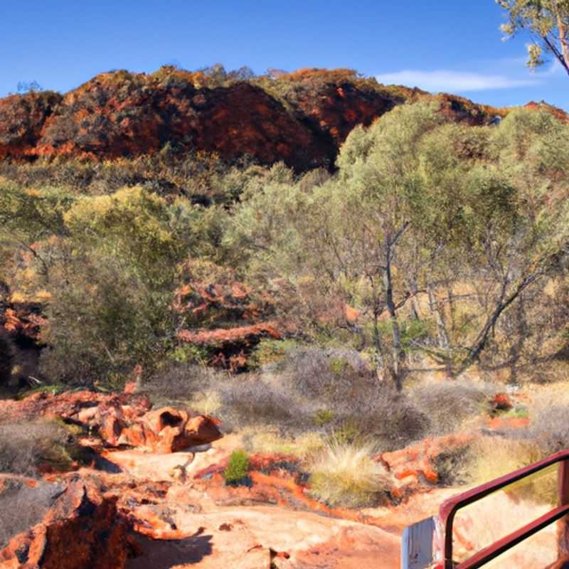 Randonnée sur le Kings Canyon Rim Walk : une expérience hivernale à couper le souffle