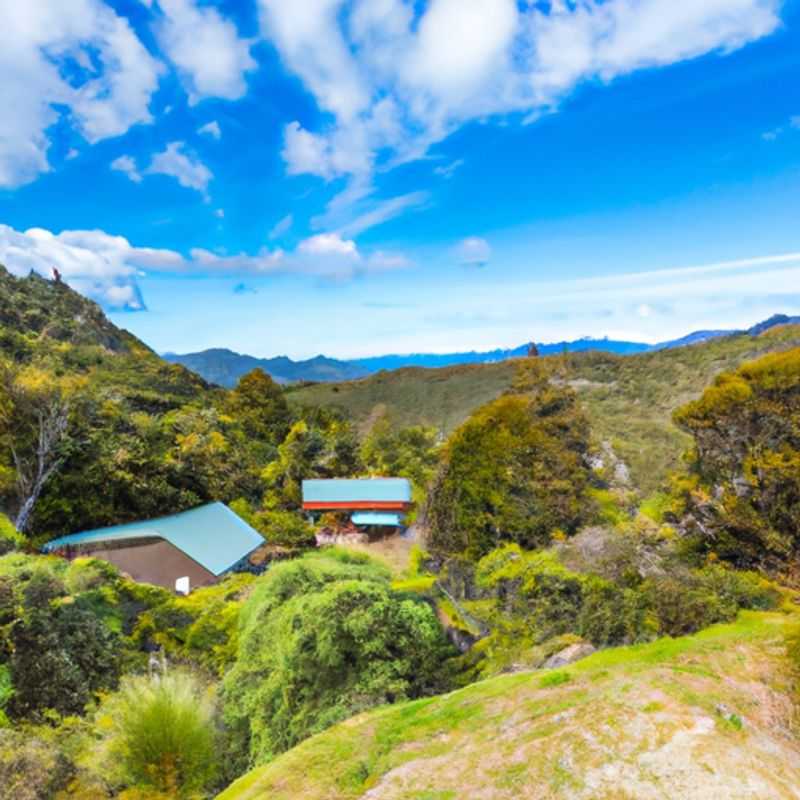 Four digital nomads embark on an adventurous 3-day winter trek along the breathtaking Te Araroa Trail in New Zealand, surrounded by stunning natural landscapes and embracing the freedom of the open road.