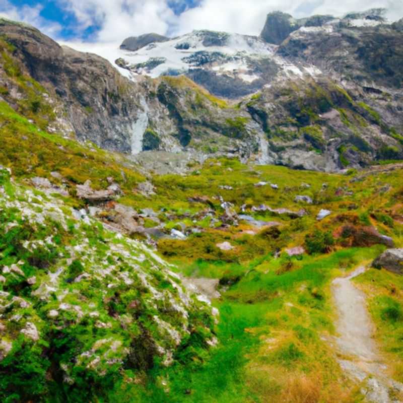 Excursión a la cima de Cascade Saddle en invierno: Un paraíso helado en Cascade Saddle, Nueva Zelanda