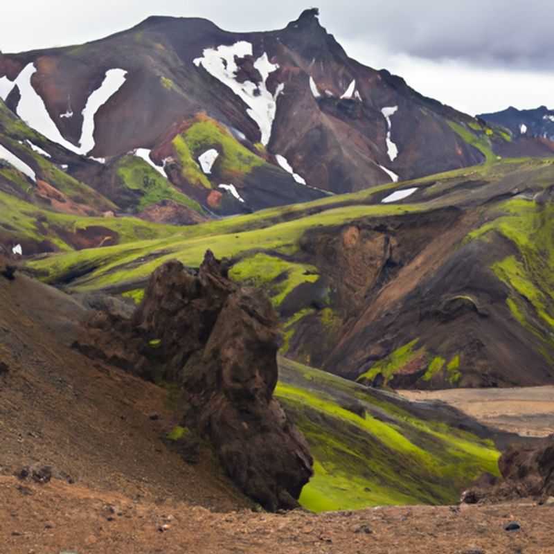 Observación de aves en Dyrhólaey en la vibrante primavera de Islandia