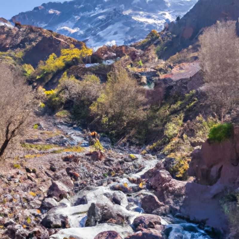 Visite du Parc national du Toubkal: Découverte de la culture berbère entre hiver et printemps