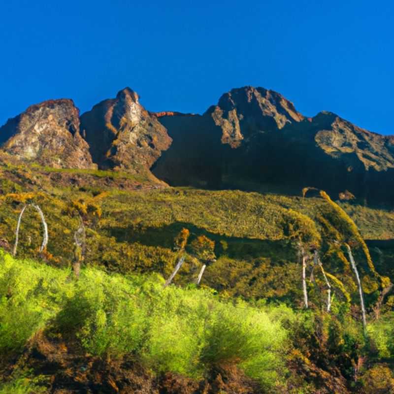 Six intrepid travelers embark on a three-week adventure to the majestic Mountains of the Moon in Uganda, where verdant slopes and jagged peaks create a breathtaking natural tapestry, during the transitional period between summer and fall.
