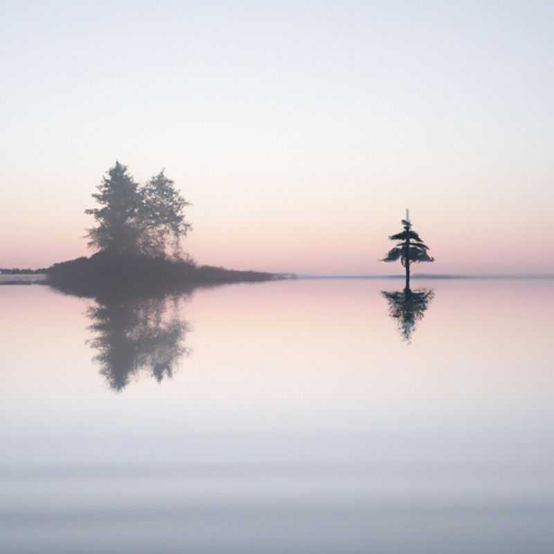 Four intrepid digital nomads embark on a thrilling 24-hour winter adventure along the rugged West Coast Trail of Canada, surrounded by towering rainforests and the relentless beauty of the Pacific Ocean.