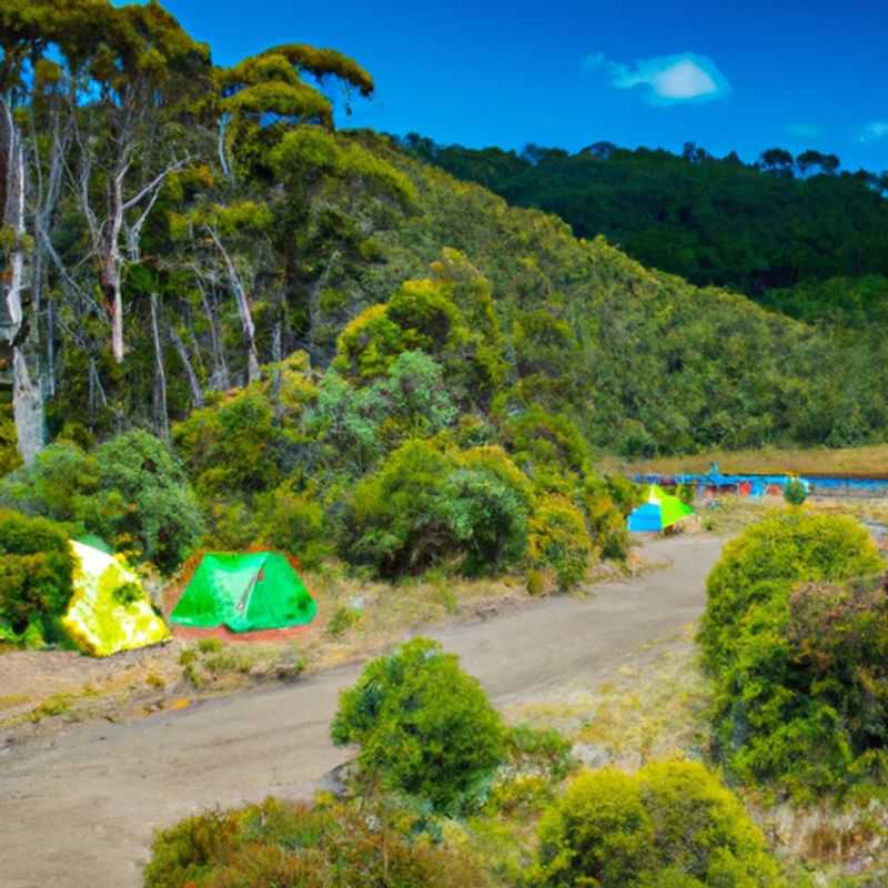 Visite de la faune à Lake St Clair au printemps sur Overland Track, Australie