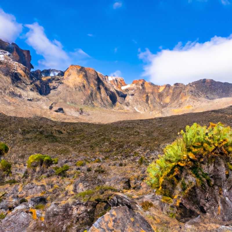 A lone hiker stands silhouetted against the majestic Mount Kenya, the second-highest mountain in Africa, during a solitary week-long trek between winter and spring. The image captures the essence of solo adventure and the allure of exploring nature's pristine wilderness.