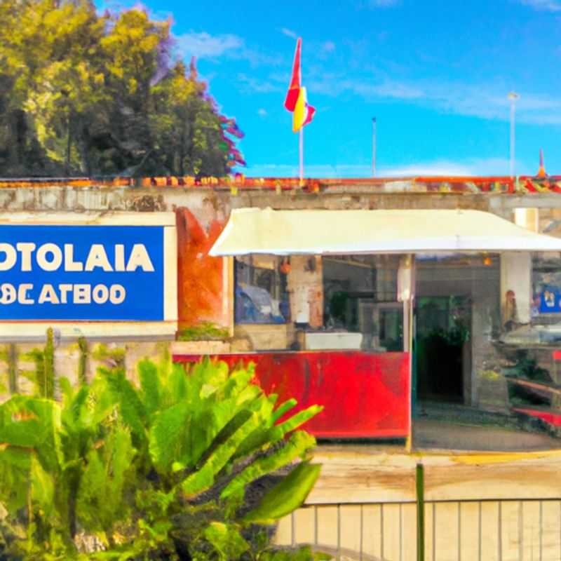 Discover the Vibrant Farmers Market of Odemira, Where Spring Awakes in Rota Vicentina, Portugal