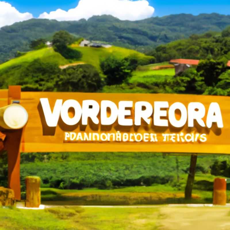 Everlasting Winter Wonderland in Costa Rica's Children's Eternal Rainforest