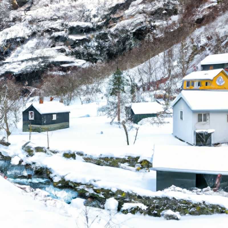 Bain de glace dans le fjord infini d'Aurlandsdalen en plein hiver