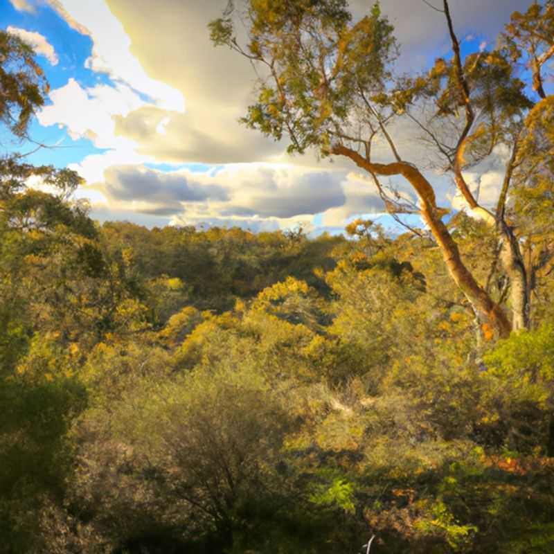 Bibbulmun Track: A Winter Wonderland at Giants Campsite, Australia