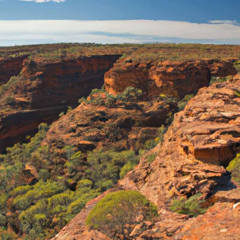 Quatre randonneurs s'émerveillent devant la vue imprenable sur Kings Canyon Rim Walk, en Australie, lors de leur excursion d'une semaine entre l'hiver et le printemps.