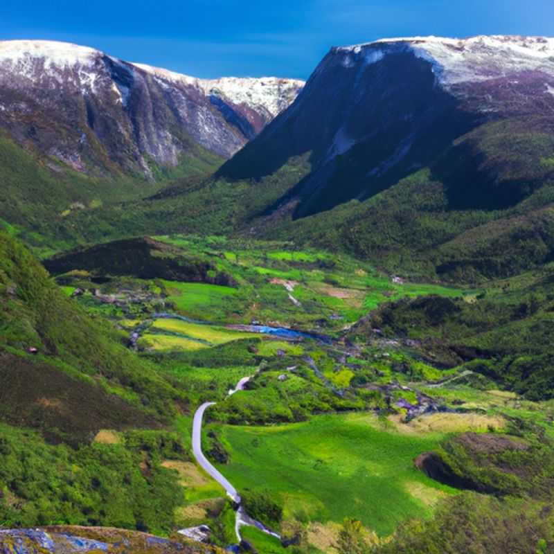Paseo en trineo de perros por el valle de Aurlandsdalen: Una aventura invernal en Noruega