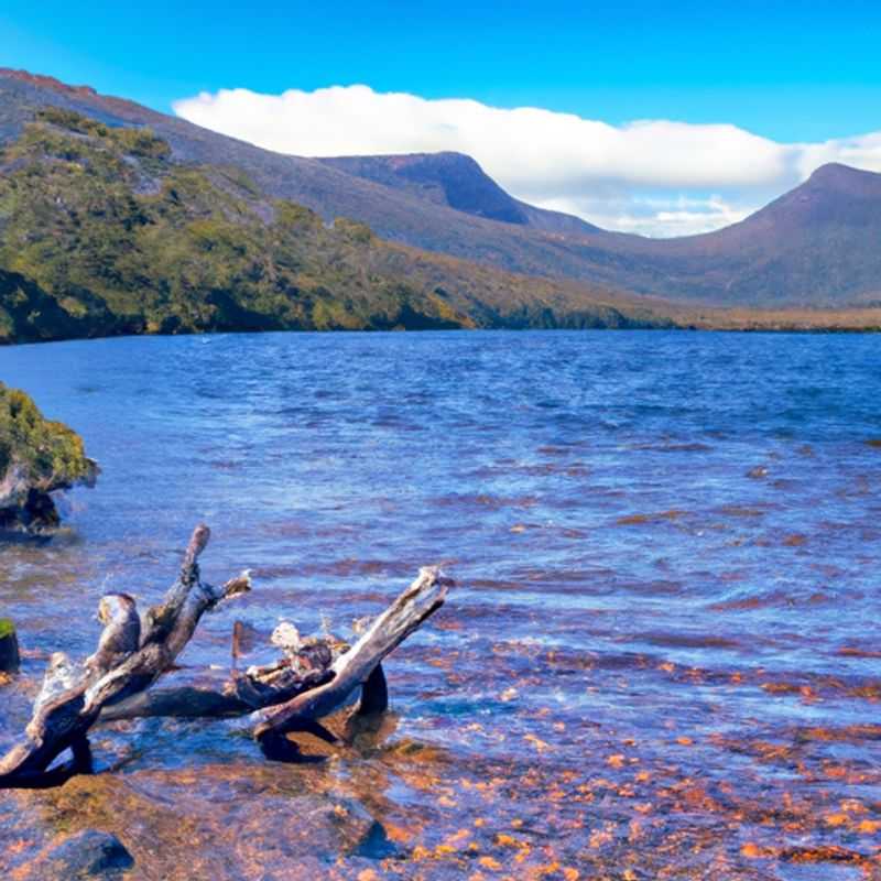 Randonnée sur l'Overland Track au printemps en Australie