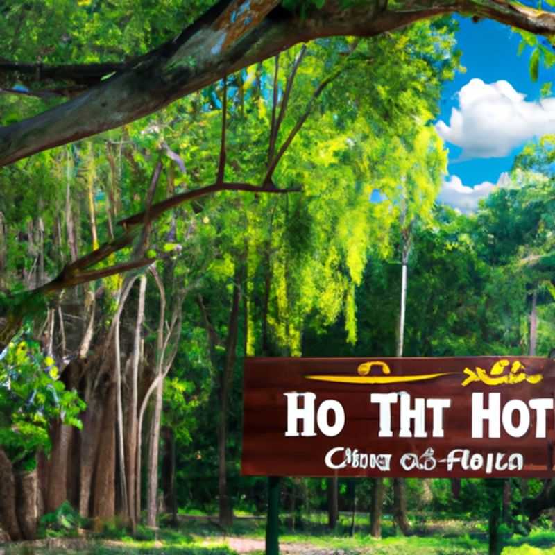 A Green Haven Amidst the Bustle: Discovering Can Gio Mangrove Forest in the Heart of Ho Chi Minh City